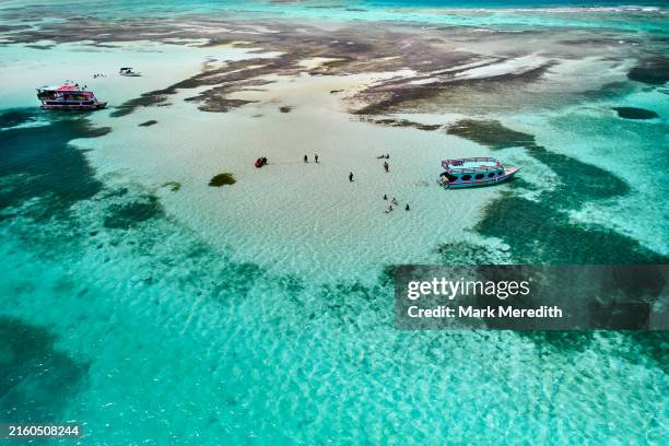 high view of the nylon pool in the buccoo reef marine park, tobago - trinidad e tobago imagens e fotografias de stock