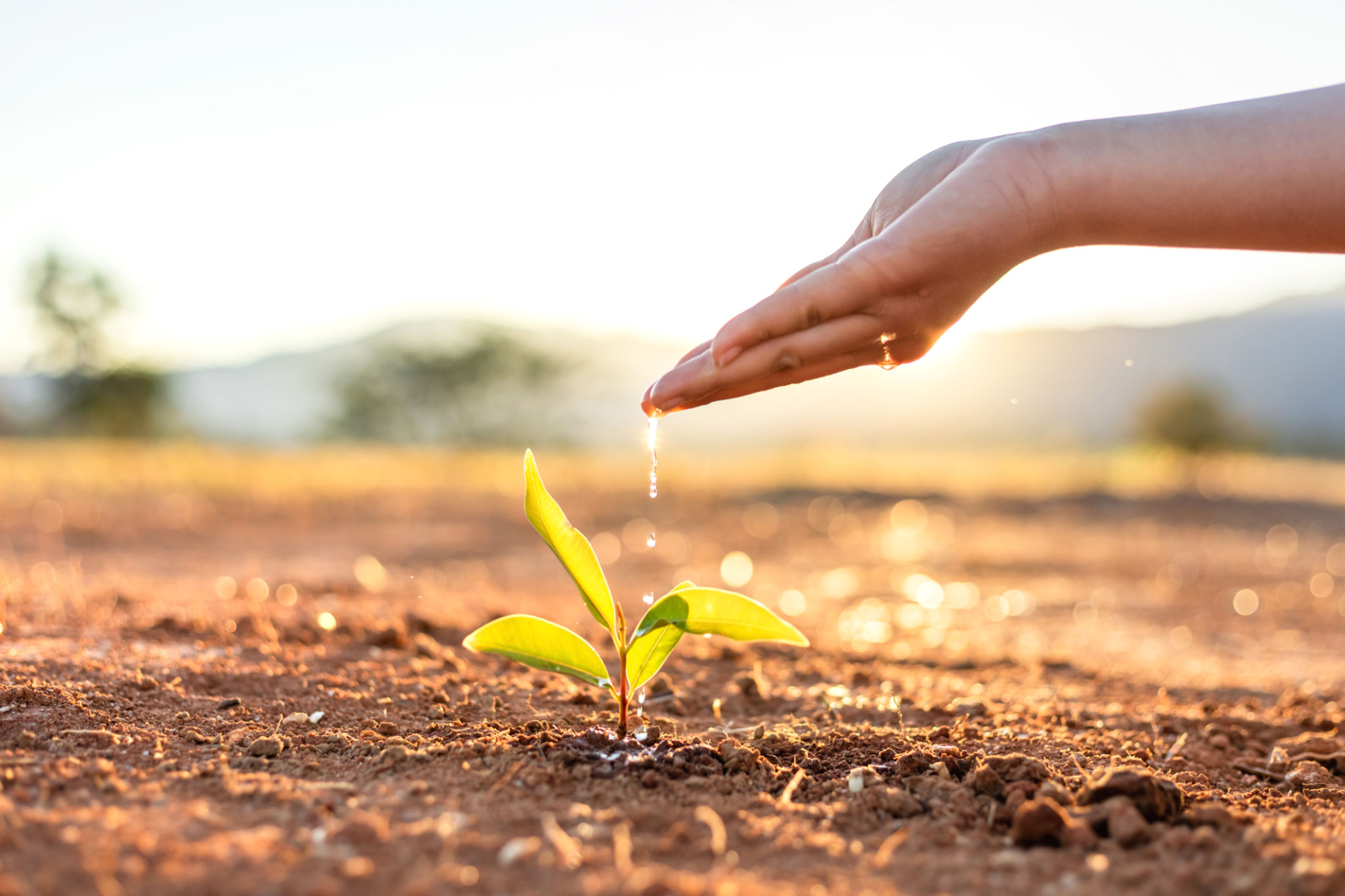 agriculture savings