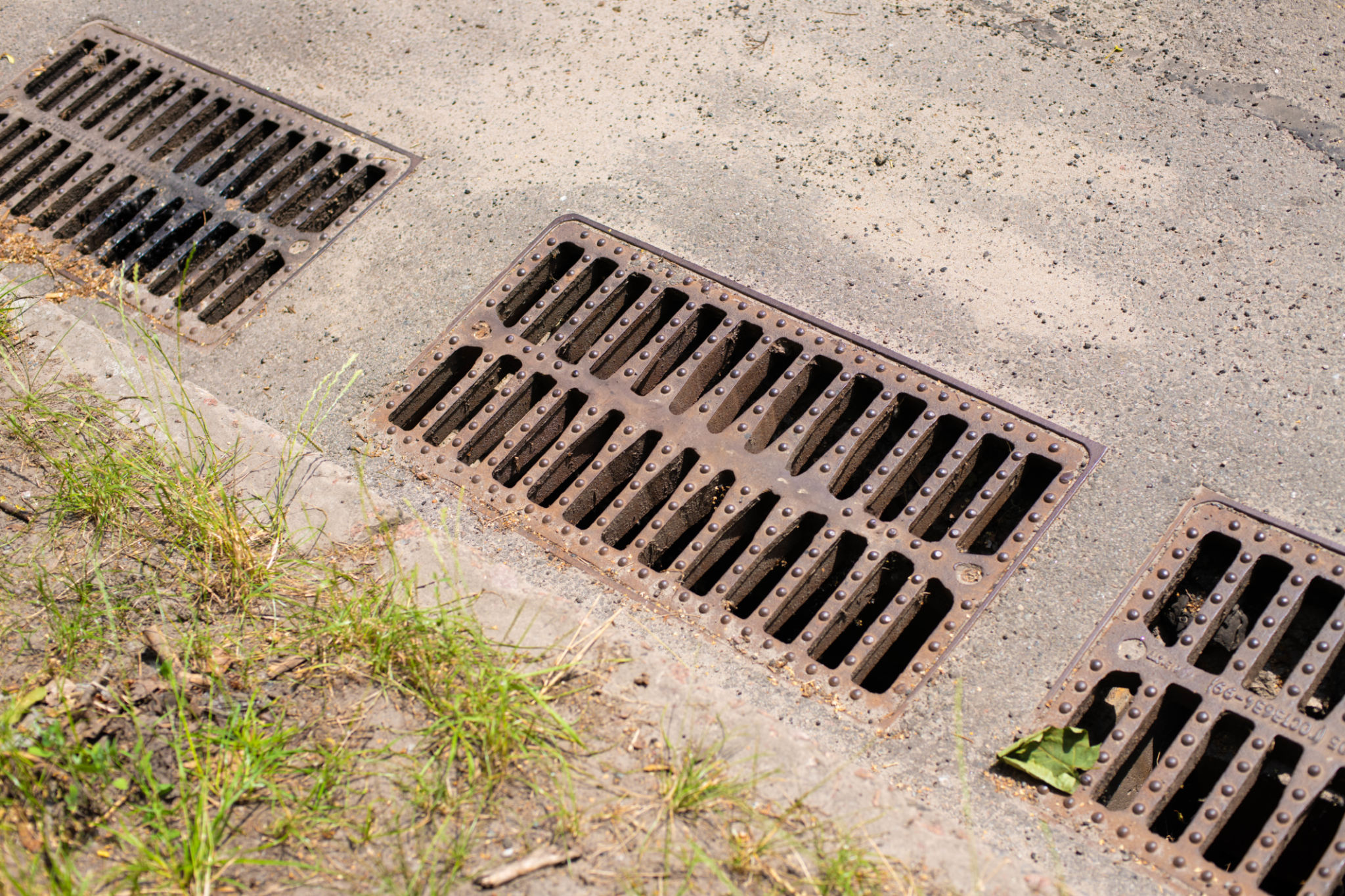 bio-swale