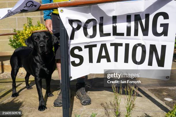 Dog waits outside a polling station as voters go to the polls in the General election on July 04, 2024 in Ingleby Cross, United Kingdom. Voters in...