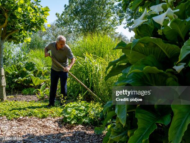 asiatischer senior mann gartenarbeit. - jäthacke stock-fotos und bilder