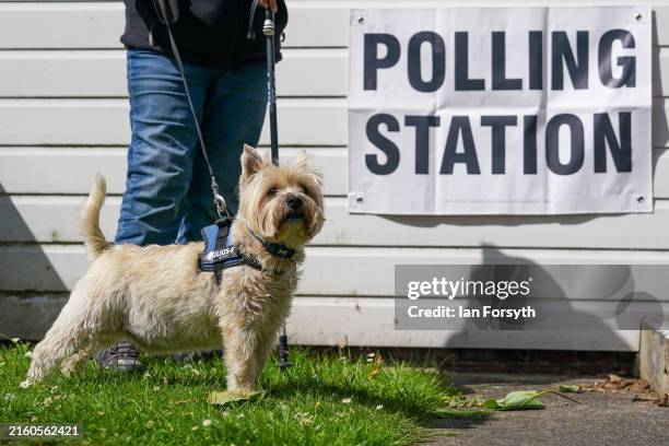 Dog waits outside a polling station as voters go to the polls in the general election on July 04, 2024 in Great Ayton, United Kingdom. Voters in 650...