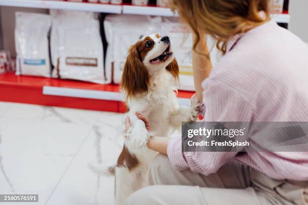 donna che gioca con il cane nel corridoio del negozio di animali - pet food foto e immagini stock