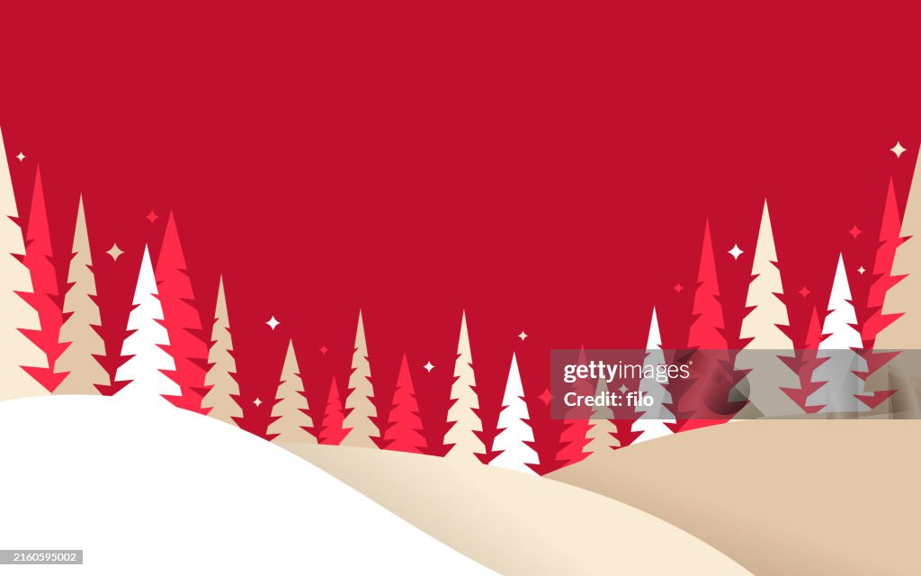 Winter Christmas Holiday Forest Evergreen Pine Tree Landscape Background