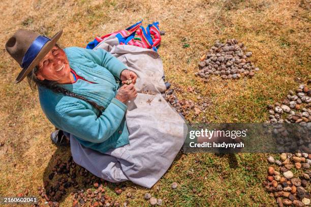 peruvian woman preparing chuno - frozen potato, near cuzco,peru - indigenous peoples of south america stock pictures, royalty-free photos & images