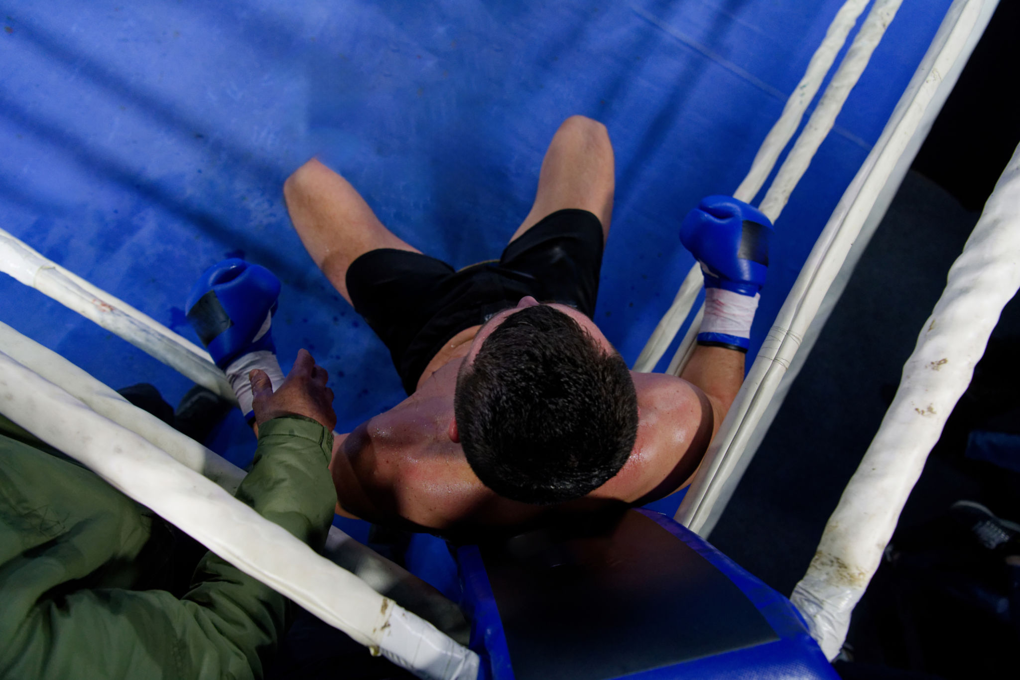 motivated boxer