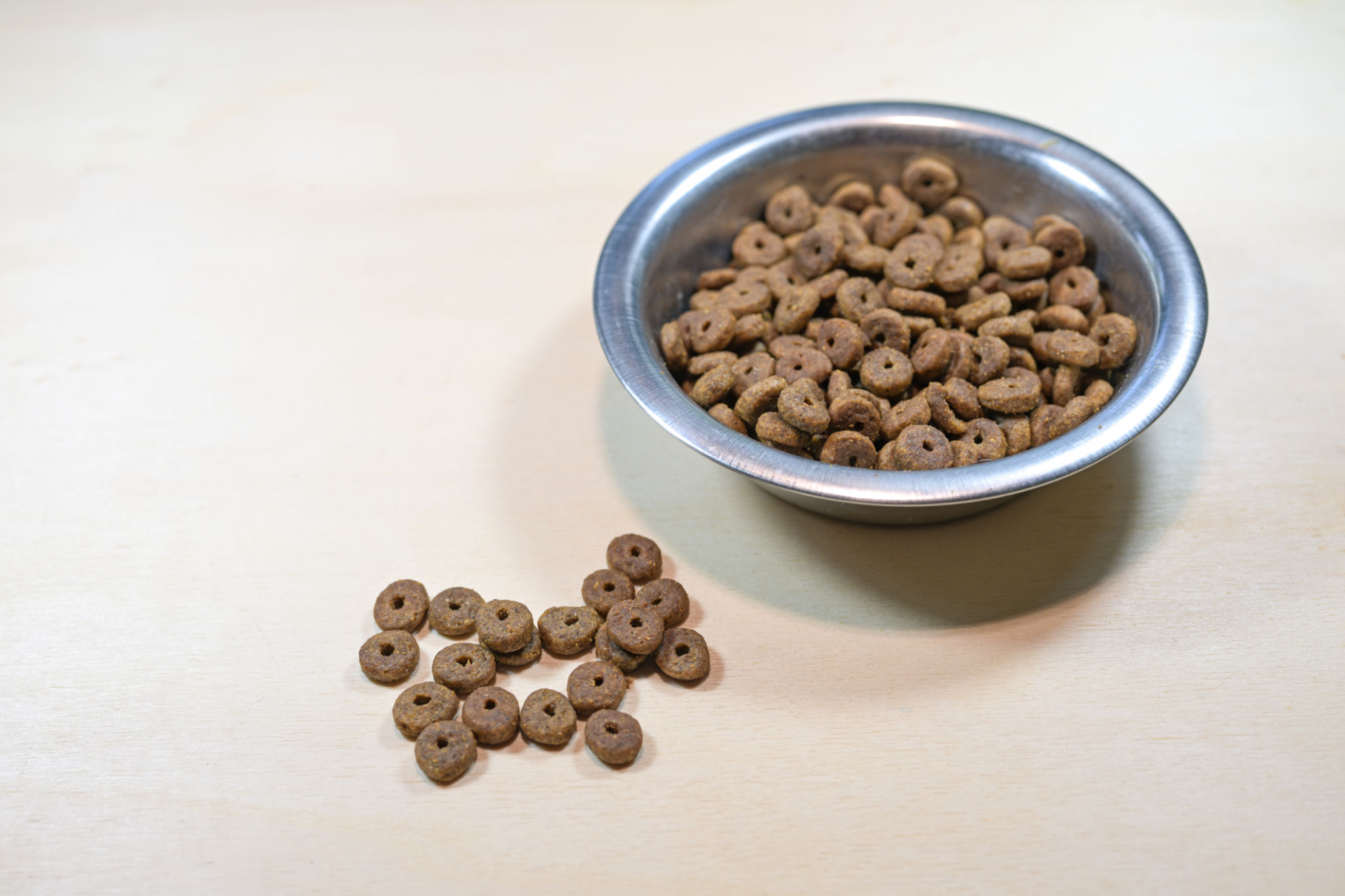 affordable pet food
