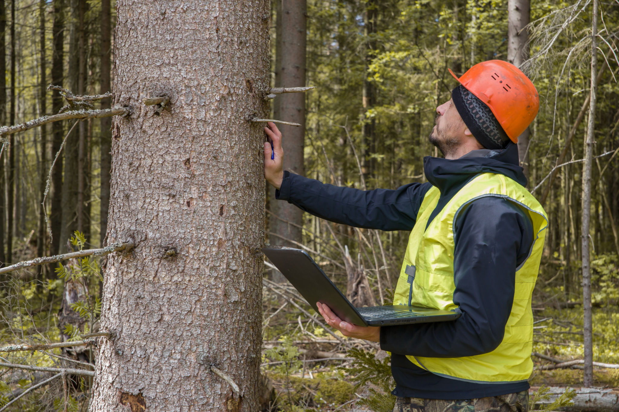 sustainable land management