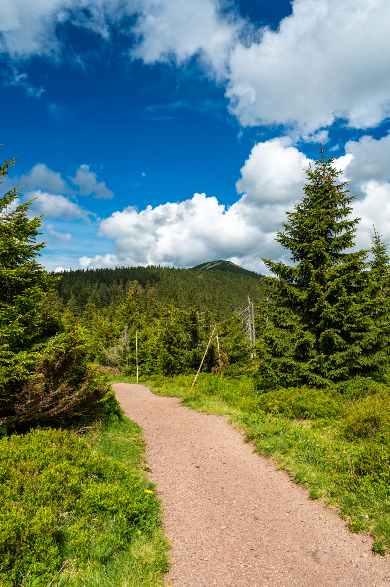 czech mountains