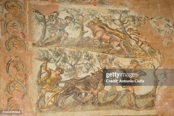 algeria - tourism - art - history - archeology. mosaic from the cherchell roman site depicting work in the fields - romano fotografías e imágenes de stock