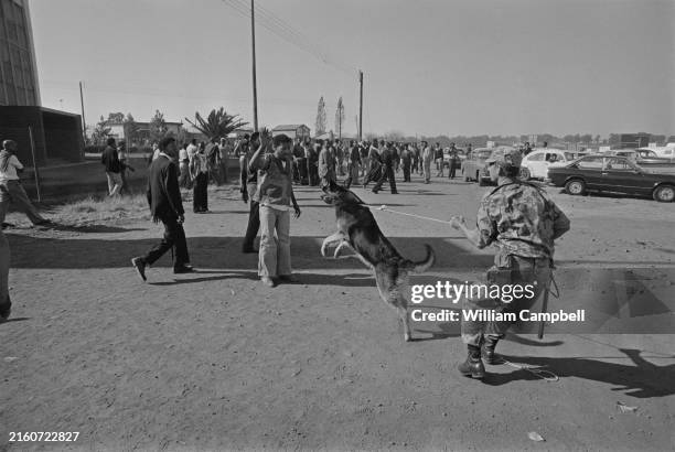 Police turn a dog on a man who seems to be a bystander, during an anti-apartheid rally, June 15, 1980.