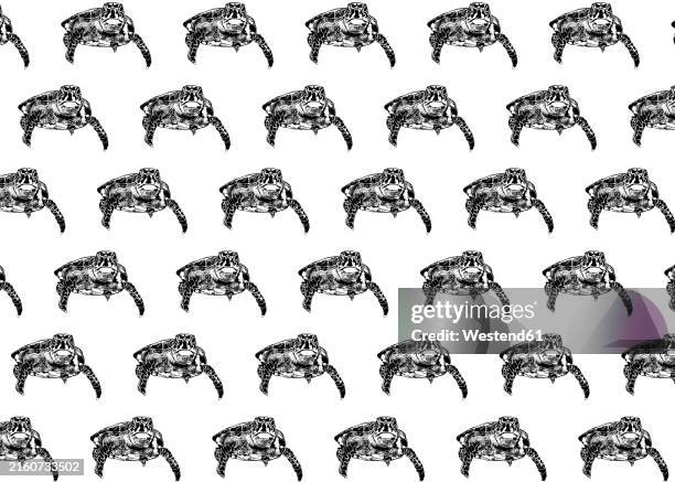 sea turtles in row over white background - turtle sketch stock illustrations