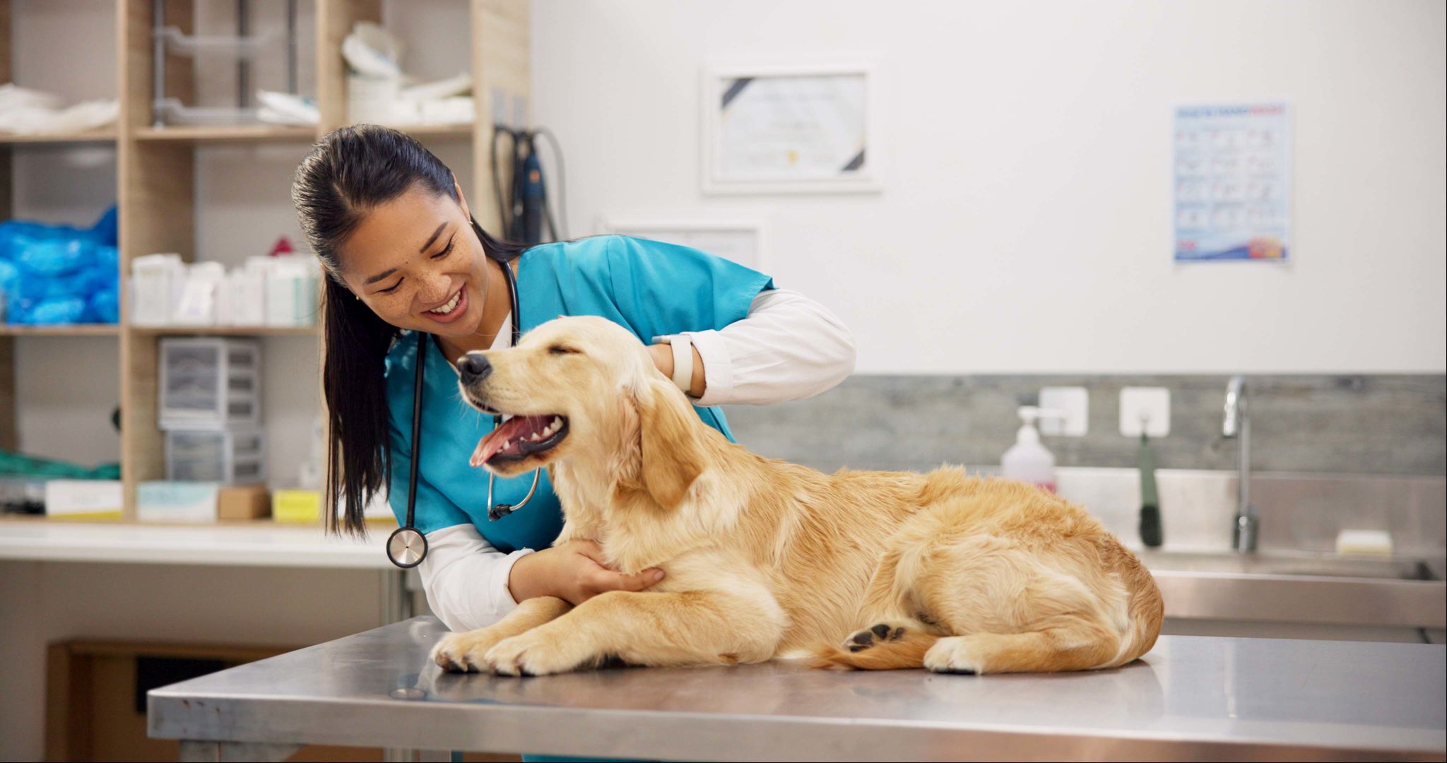 pet care staff
