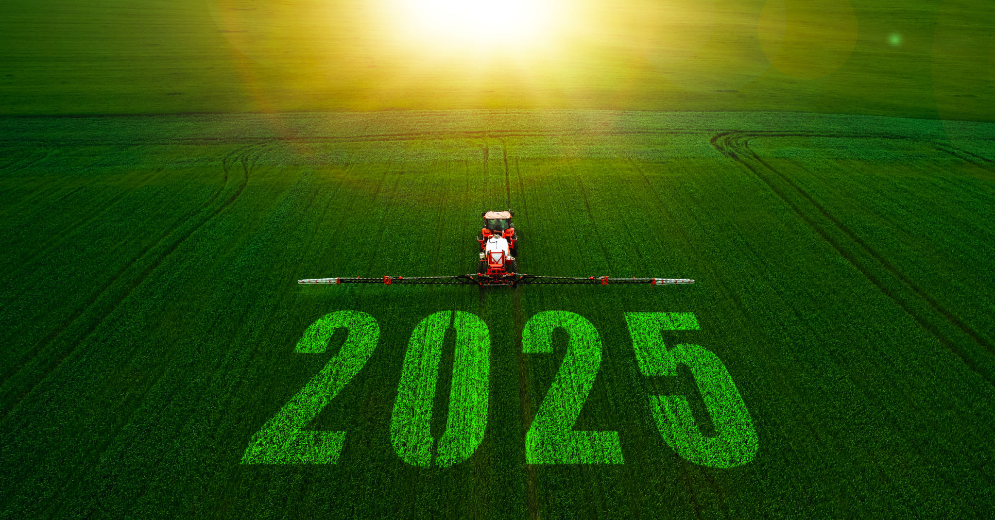 lawn care plan