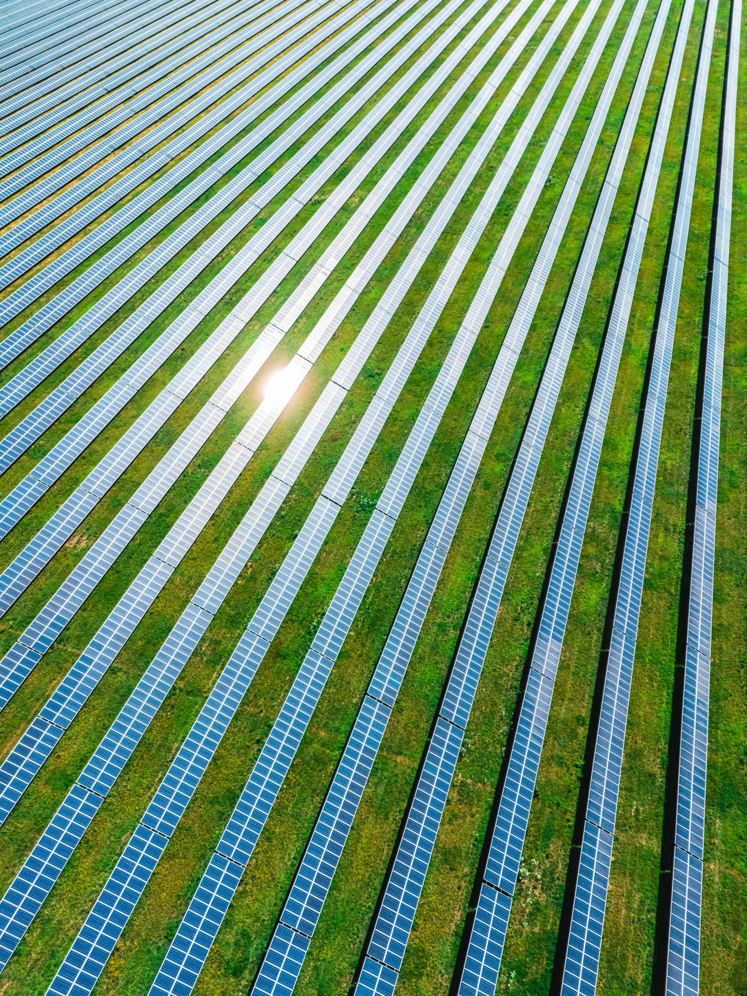 Aerial view of solar panels on green field at suburb in sunny day Aerial view of solar panels on green field at suburb in sunny day