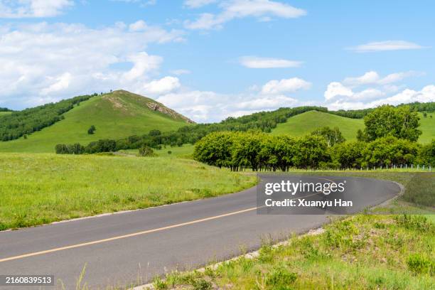 rural roads in summer - borde de la carretera fotografías e imágenes de stock