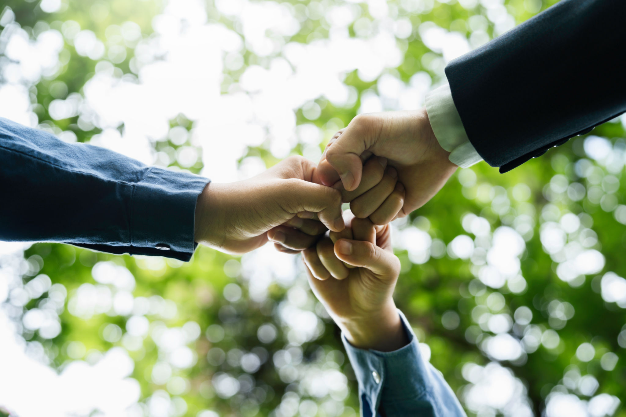 exclusive partnership