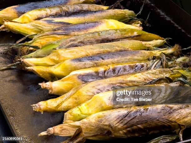 corn on the cob cooking on the grill - corn leaf blight stock pictures, royalty-free photos & images