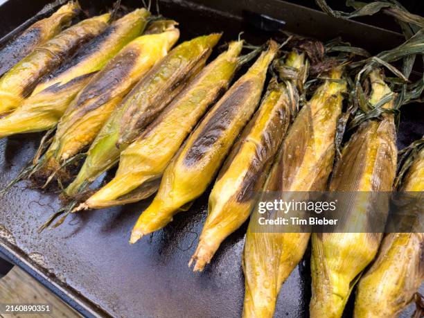 corn on the cob cooking on the grill - corn leaf blight stock pictures, royalty-free photos & images