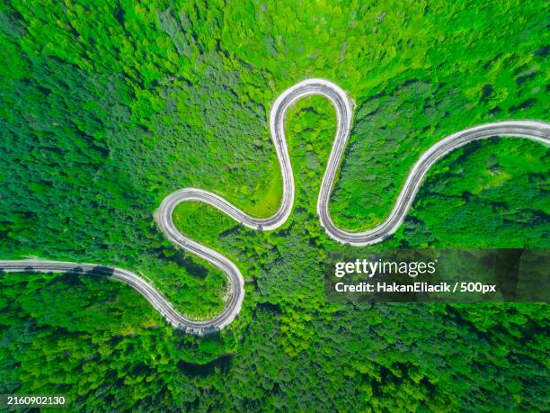 aerial view of winding road in forest - car restoration stock pictures, royalty-free photos & images