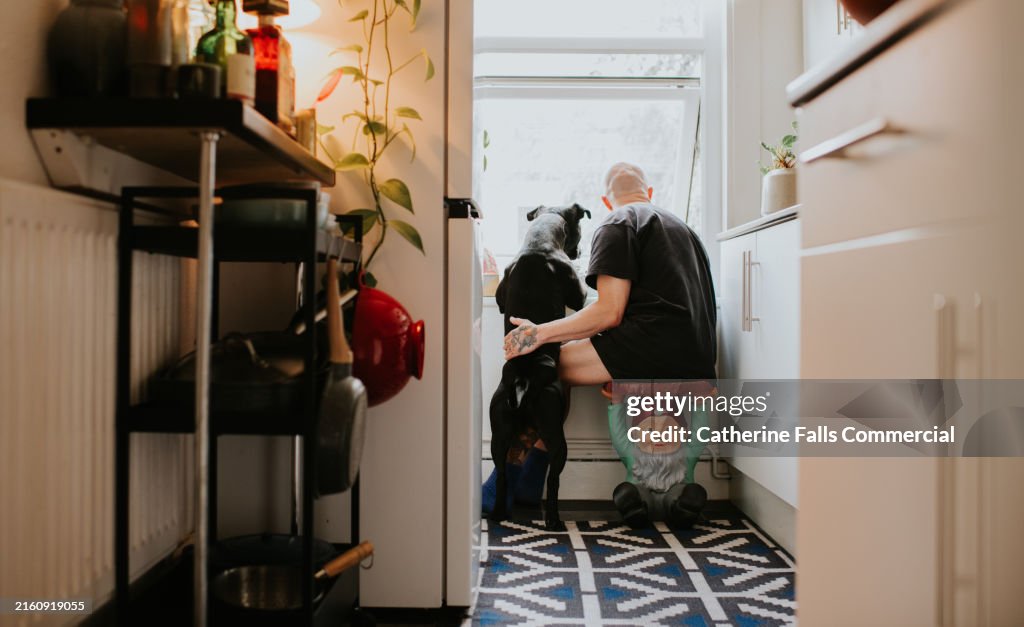 A man and his dog gaze out a window