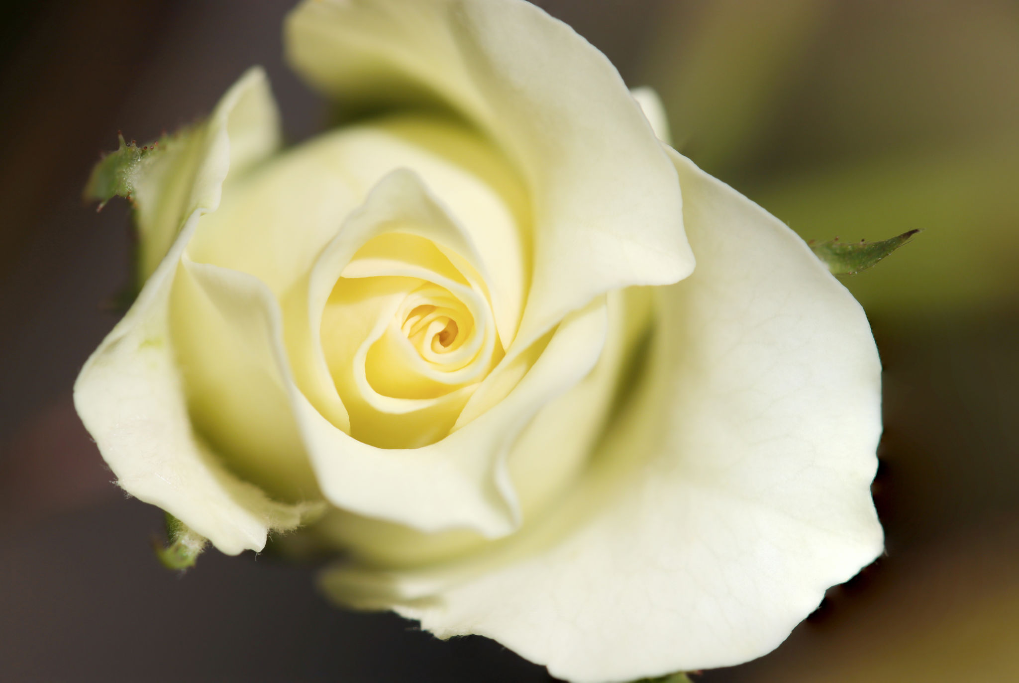 wedding cinematography