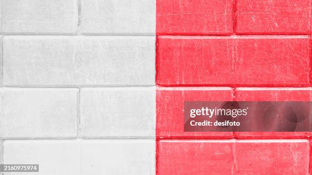 horizontal vibrant bright dark red and gray white colored painted scuffed whitewashed bricks pattern halved divided painted brickwall vector background with one half painted in white and the other part contrasting red - wall cross section stock illustrations