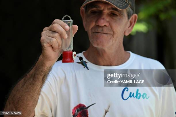 Bernabe Hernández feeds a Zunzuncito hummingbird with a mixture of water and sugar in his backyard, which he baptized as the Hummingbird's House, on...