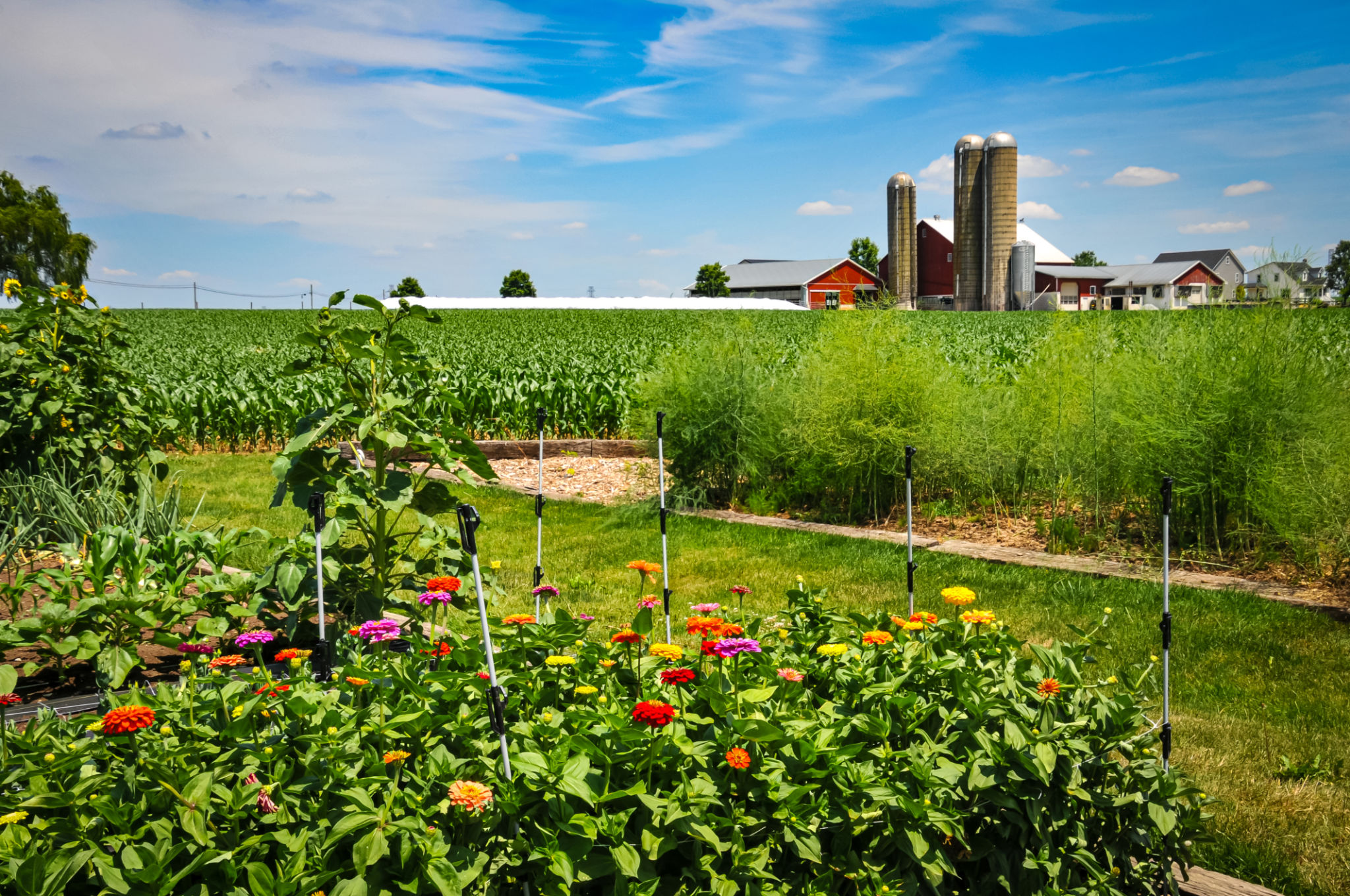 amish country garden