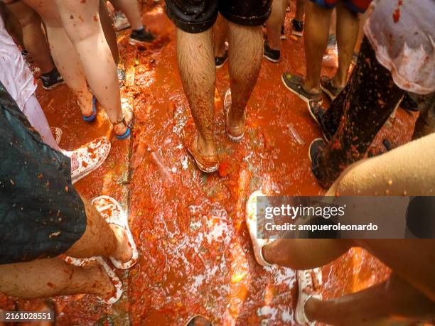 la tomatina festival in buñol, valencia, spain - tomatina fotografías e imágenes de stock