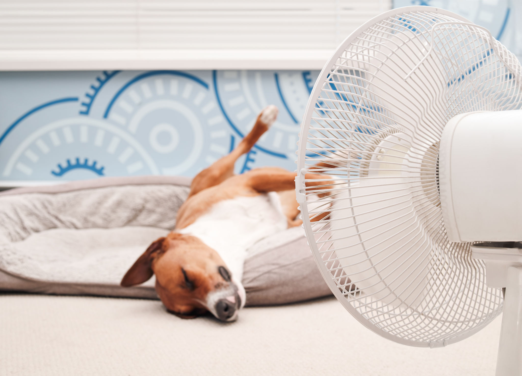 summer ac unit