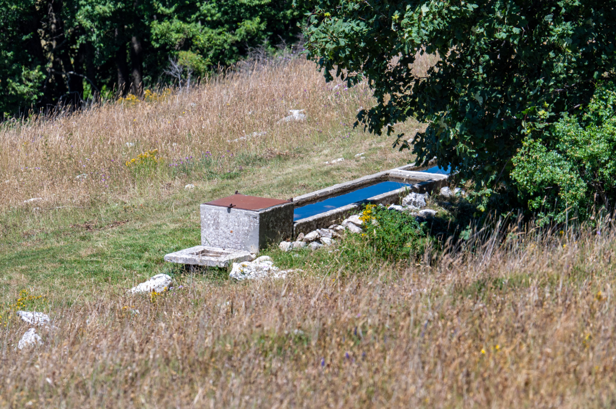thracian tomb kazalnak