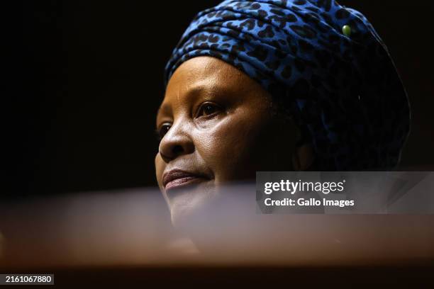 Mapisa 169 Nosiviwe Mapisa Nqakula Photos & High Res Pictures - Getty Images