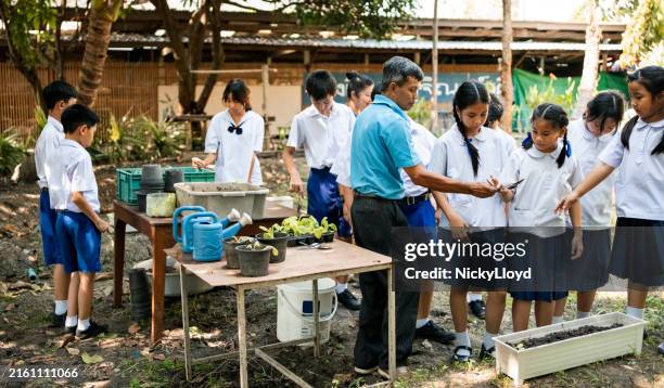 male teacher teaching school children about gardening - horta escolar imagens e fotografias de stock