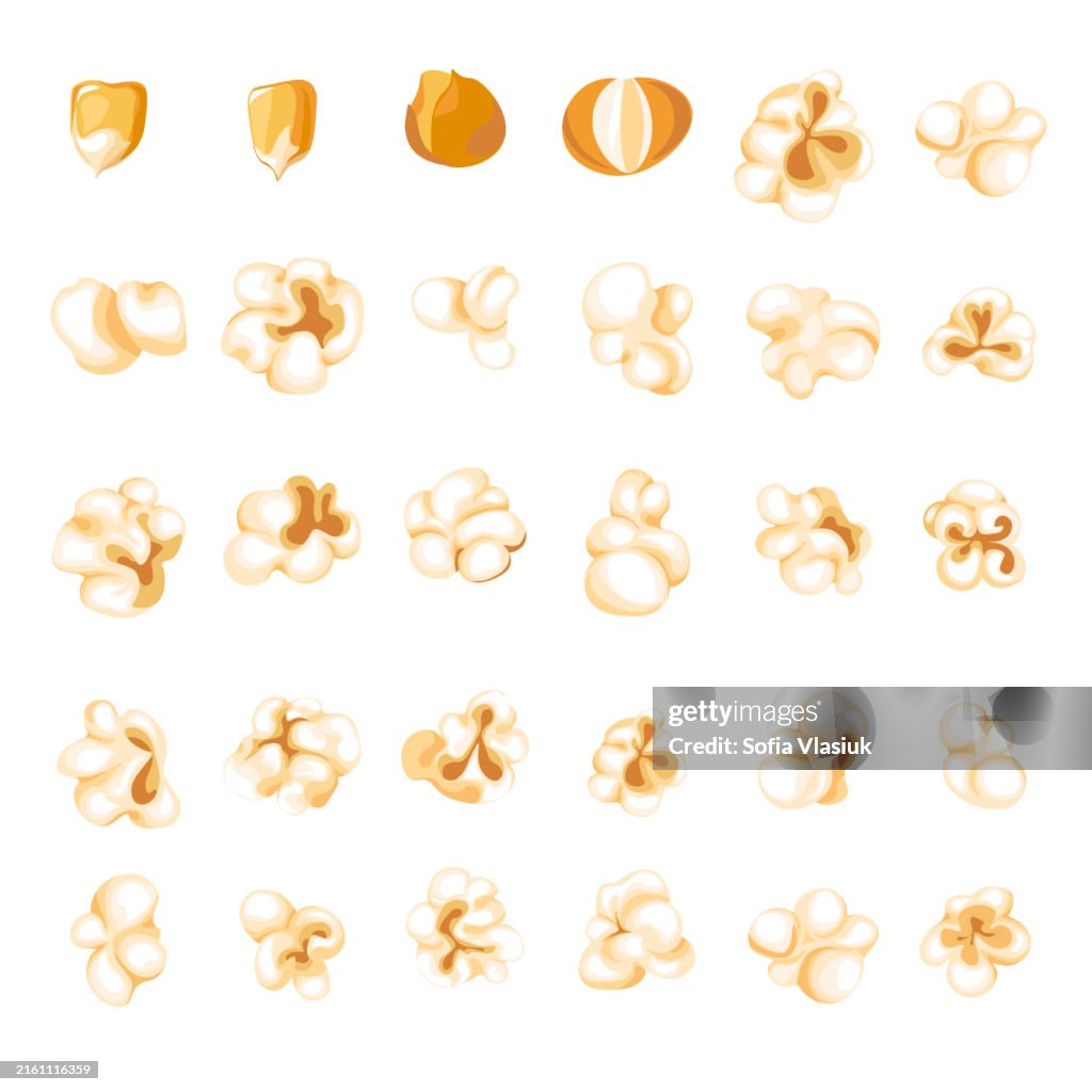 Popcorn Structure Popcorn Kernel Types And Process Of Popping Vector High-Res Vector ...
