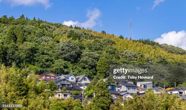 Japanese Structures Rural 2,563 Rural Japanese Architecture Stock Photos, High-Res Pictures, and ...
