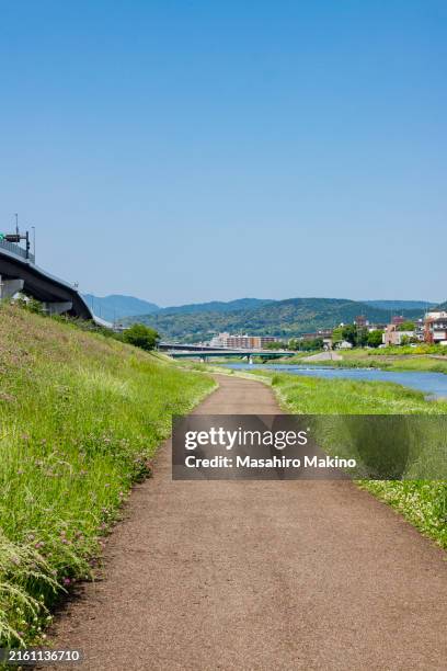 walkway along the kamo river, kyoto city - riverbank stock pictures, royalty-free photos & images