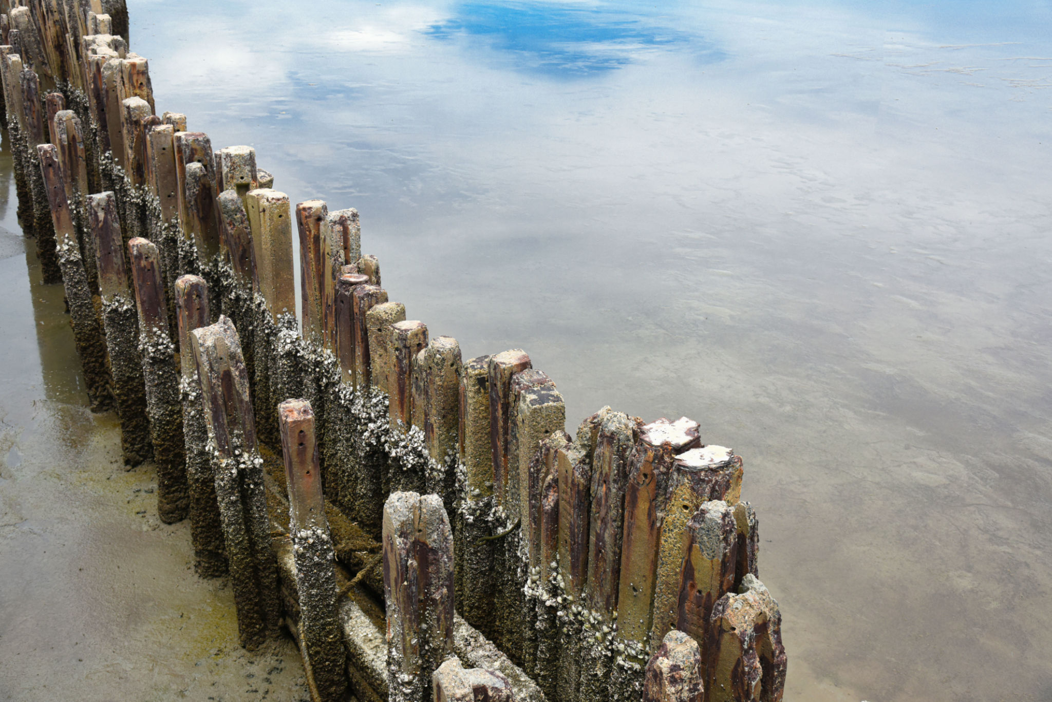 coastal protection