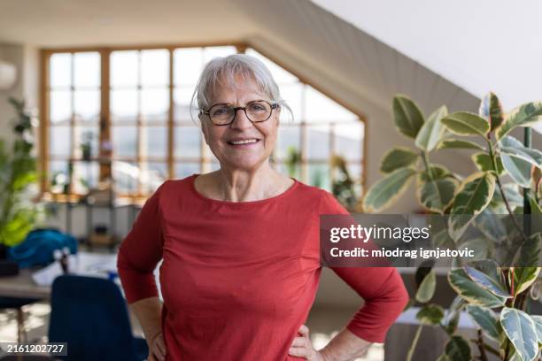 charming elderly woman - charmant stockfoto's en -beelden
