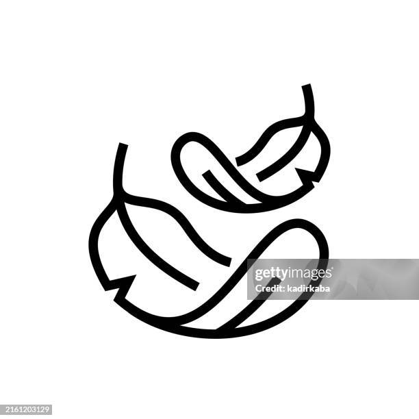 illustrazioni stock, clip art, cartoni animati e icone di tendenza di icona della linea riempita di piume. - piuma