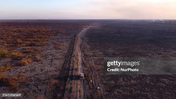 National Security Force vehicle is traveling along a road bordered by areas scorched by forest fires that have been devastating the southern Pantanal...