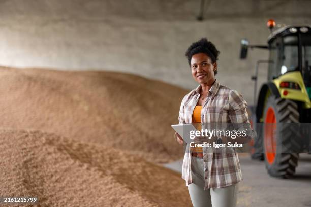woman in wheat grain warehouse - silo stock pictures, royalty-free photos & images