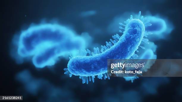 bacteria medical illustration - agent pathogène photos et images de collection