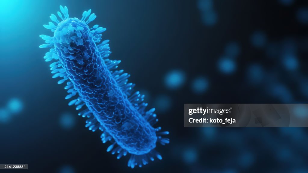 Bacteria medical illustration
