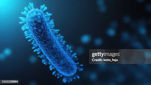 bacteria medical illustration - enterobacter aerogenes stock pictures, royalty-free photos & images