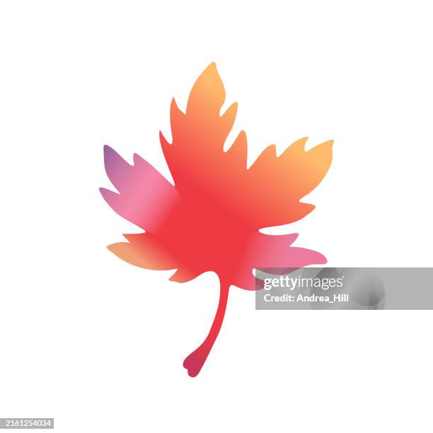 stockillustraties, clipart, cartoons en iconen met autumn maple leaf with fall colors, canada day vector illustration - esdoorn