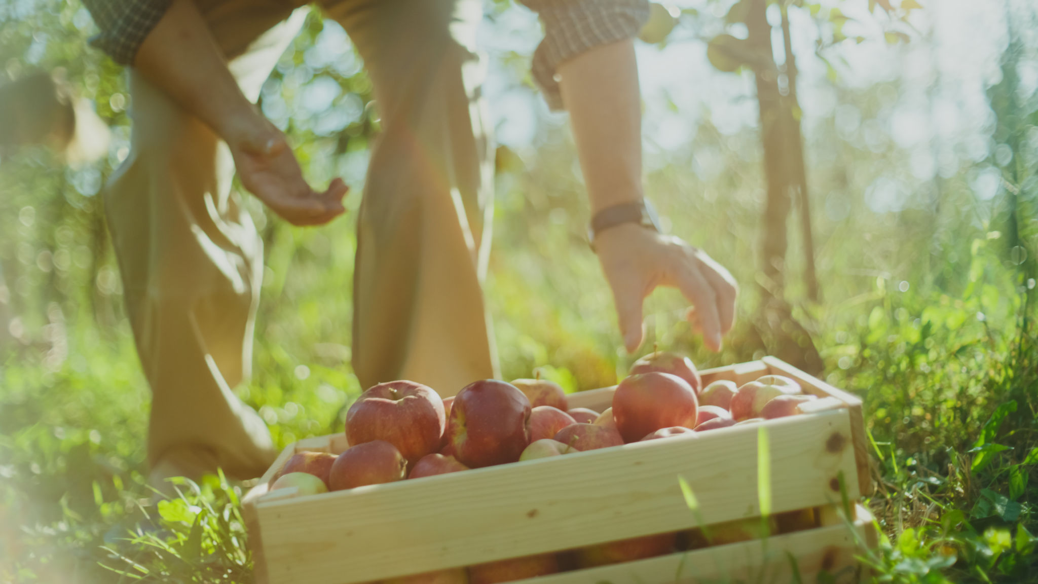 local growers