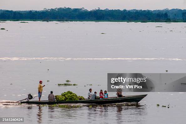 Boats carrying bananas in the Amazon River Boats carrying bananas in the Amazon River
