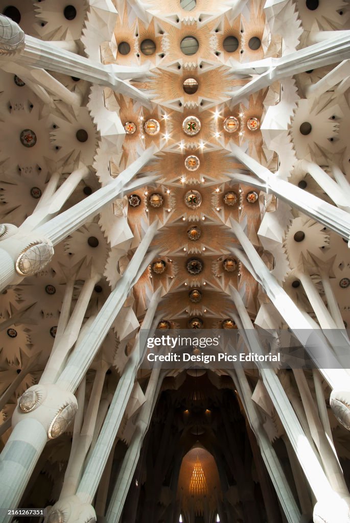 Spain, Catalonia, Details of the ceiling of the Sagrada Familia... News ...