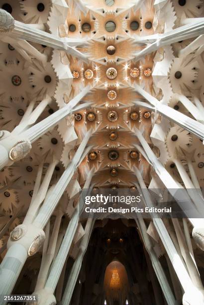 468 La Sagrada Familia Inside Stock Photos, High-Res Pictures, and ...